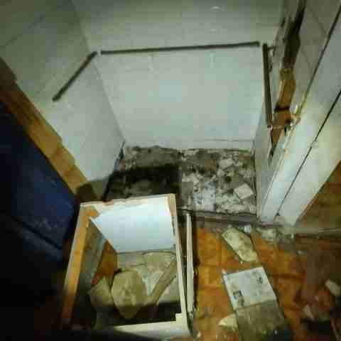 8031 conger (14).jpg